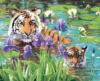 Схема вышивки «Тигр в пруду»