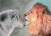 Схема вышивки «Волк и лев»