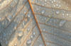 Схема вышивки «Изнанка листика»