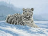 Схема вышивки «Тигр снегов»