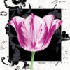 Схема вышивки «Гламурный тюльпан»