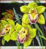 Схема вышивки «Подушка орхидеи»
