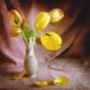 Натюрморт с жёлтыми тюльпанами: оригинал