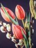 Схема вышивки «Весна пришла»