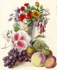 Схема вышивки «Персики и цветы»