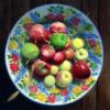 Схема вышивки «Натюрморт с яблоками»
