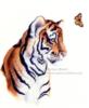 Тигр и бабочка: оригинал