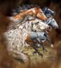 Схема вышивки «Разные лошади»