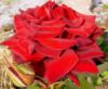 Подушка-цветок(роза): оригинал
