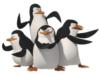 Схема вышивки «Пингвины с мадагаскара»