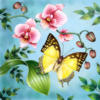 Бабочка и цветы: оригинал