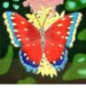 Схема вышивки «Бабочка на цветке»