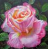 Схема вышивки «Подушка розовая роза»