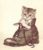 Схема вышивки «Котик в ботинке»