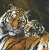 Тигрица с тигренком: оригинал
