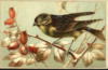 Схема вышивки «Птичка на шиповнике»
