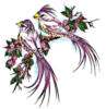 Схема вышивки «Райские птахи»