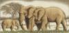 Схема вышивки «Африканские слоны»