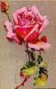 Схема вышивки «Одинокая розовая  роза»