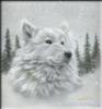 Схема вышивки «Белая волчица»