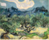 Схема вышивки «Пейзаж с оливами Ван Гога»