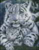 Схема вышивки «Белый тигр»