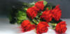 Красные розы: оригинал