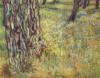 Схема вышивки «Ван  Гог. Стволы  деревьев»
