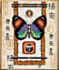 Схема вышивки «Бабочка и иероглифы 2»