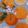 Схема вышивки «Подушка "Апельсины"»
