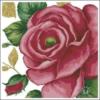 Схема вышивки «Бордовая роза Подушка»