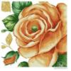 Схема вышивки «Бежевая роза Подушка»