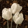 Схема вышивки «Подушка - Белые тюльпаны»