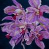 Схема вышивки «Подушка "орхидея"»