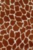 Схема вышивки «Жираф подушка»