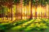 Схема вышивки «Солнце в лесу»