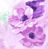 Схема вышивки «Сиреневые цветы»