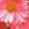 Ветка хризантемы: предпросмотр