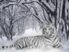Белый тигр в снежном лесу: оригинал