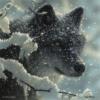 Схема вышивки «Волк в снегу»
