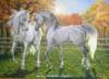 Схема вышивки «Прогулки белых лошадей»