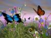 Fairy Tales - Flower, Butterfly: оригинал