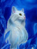 Схема вышивки «Галактика для Белого кота»
