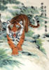 Схема вышивки «Уссурийский тигр»