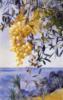 Схема вышивки «Виноград и оливковое дерево»