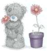 Схема вышивки «Bear with Flowers»