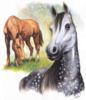 Схема вышивки «Такие разные лошади»