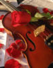 Схема вышивки «Скрипка и розы 6»