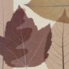 Схема вышивки «Modern Decoration - Leaves»