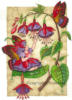 Схема вышивки «Бабочки на фуксии»